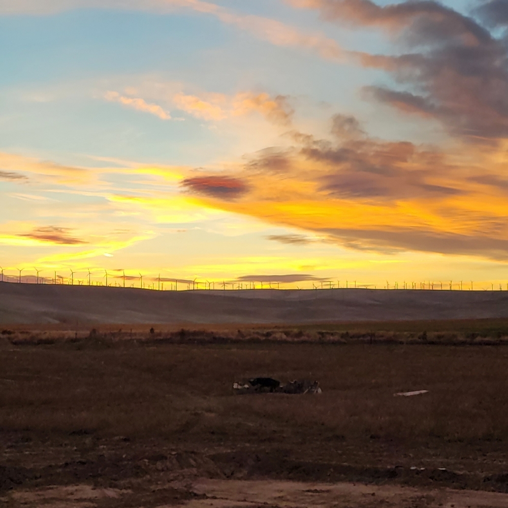 Meet your Posher, Ciara